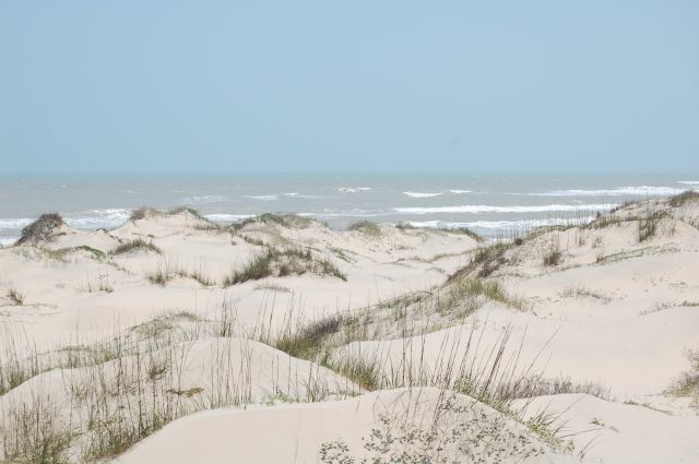 Top of dunes looking towards Gulf of Mexico